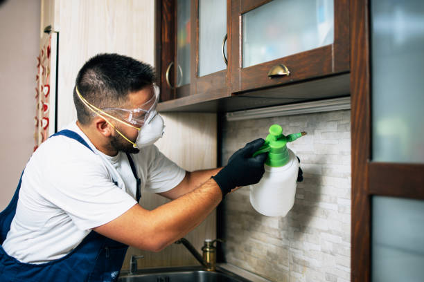 Best Best Pest Control Companies  in Chalmette, LA