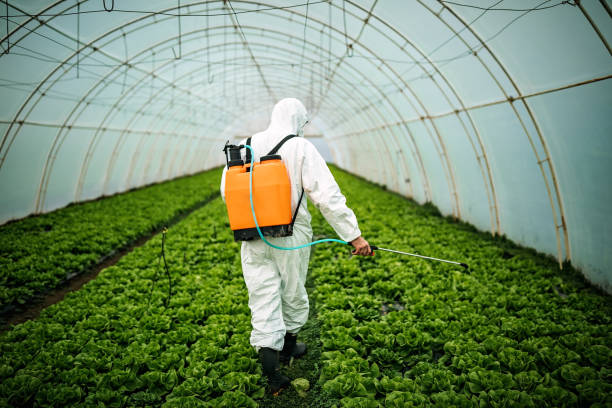 Pest Control for Restaurants in Chalmette, LA