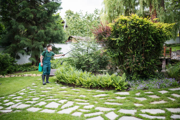 Best Commercial Pest Control Services  in Chalmette, LA