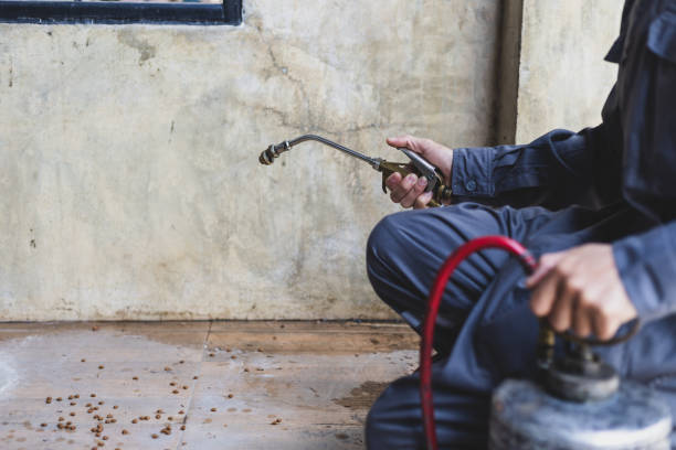 Best Pest Control Near Me  in Chalmette, LA