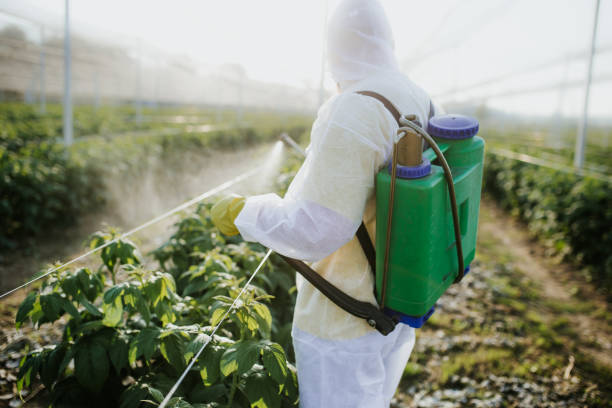  Chalmette, LA Pest Control Pros